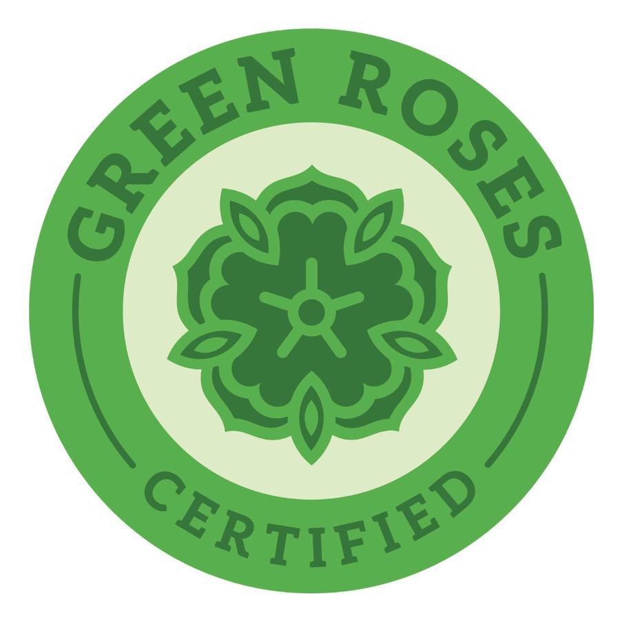 Hotel Carmen Roses Ngoại thất bức ảnh